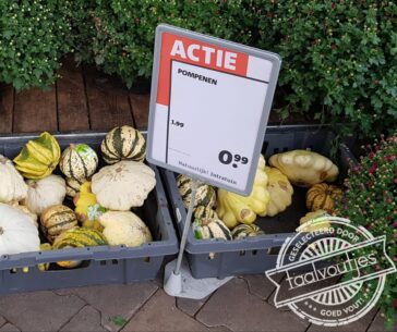 Is dat een kruising tussen een pompoen en een winterpeen?